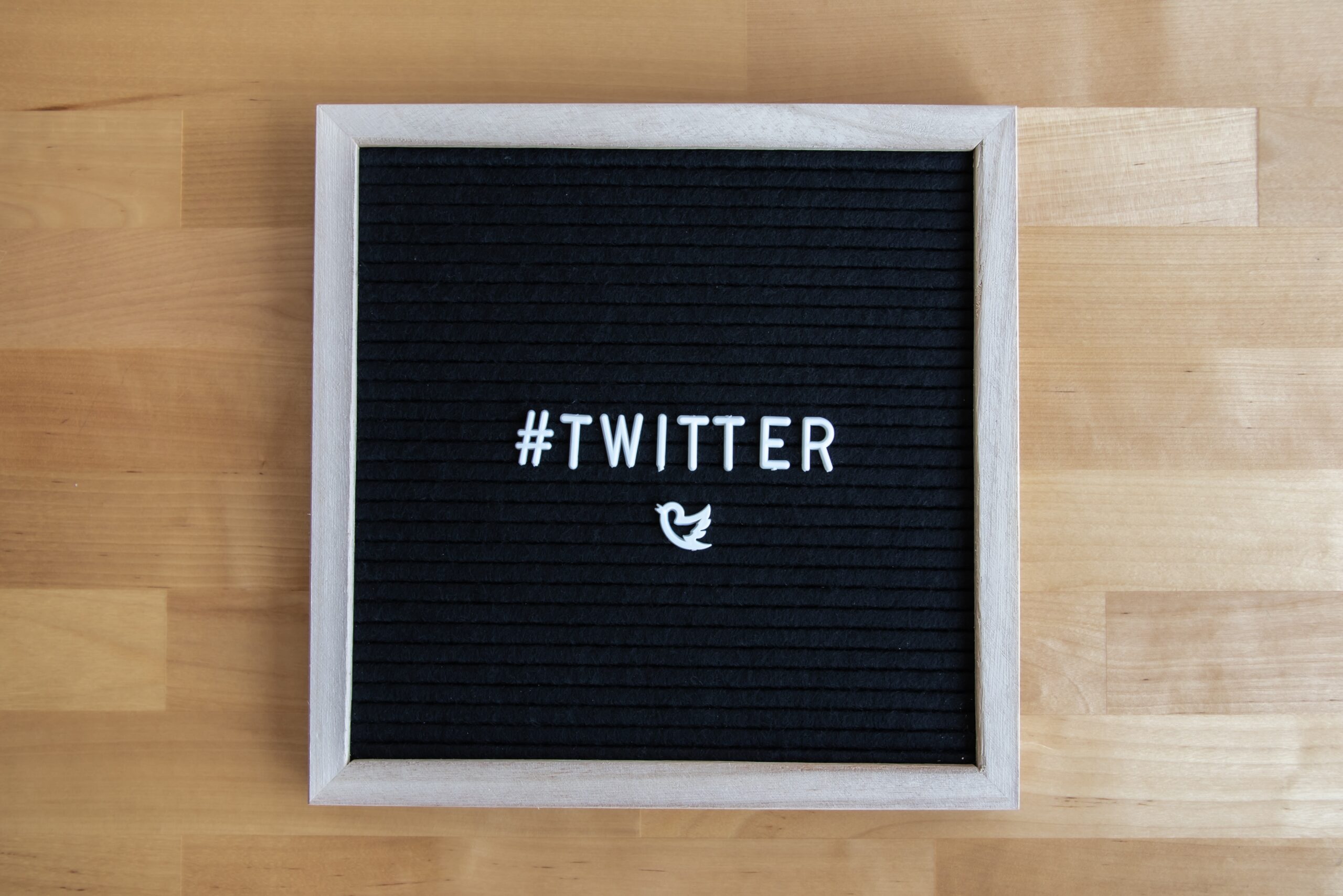 ¿Qué hacer si Twitter cierra? 6 redes sociales alternativas